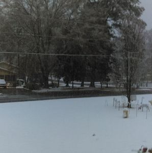 Meet your Posher, Donald